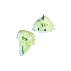 Одежда для кукол и фигурок Nodding Bud Bug