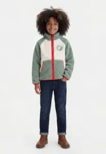Флисовая куртка унисекс moomin kramgo Reima, Stone Green