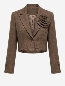 Ombre Блейзер в коричневом цвете