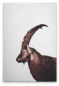 Картина на холсте A.S. Création Capricorn Snow цвет graubraunschwarz