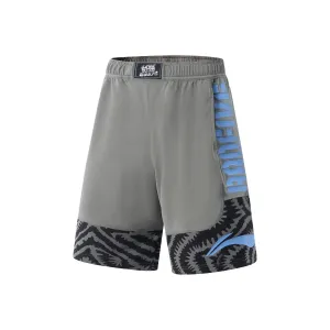 Коллекция Basketball шорты мужские LINING, серый