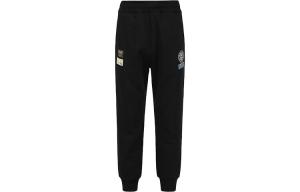 Трикотажные спортивные штаны мужские Evisu, цвет Light Apricot