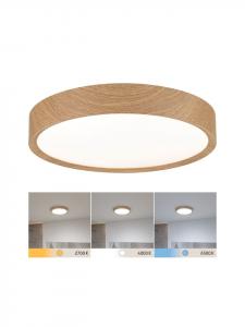 Светодиодный потолочный светильник Tega для ванной комнаты paulmann