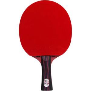 Ракетка для настольного тенниса DOUBLEFISH Unisex DOUBLE FISH, horizontal