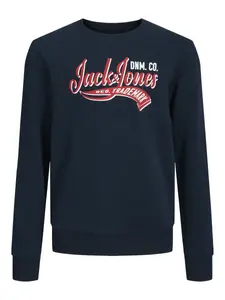 Детская толстовка Jack & Jones "JJELOGO SWEAT CREW NECK 2 COL SS24 JNR" Jack & Jones Junior, синий