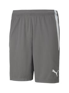 Шорты PUMA Regular Workout Pants TeamLiga, цвет light grey/dark grey