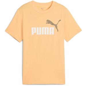 Футболка Puma Ess 2 Color No.1 Logo Tee B, оранжевая, детская