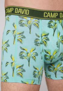 Трусы 2 PACK Camp David, зеленый