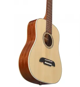 Alvarez RT26 Travel Natural Gloss