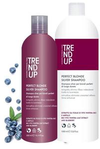 Шампунь SILVER для светлых волос, нейтрализующий желтизну, 1000 мл TrendUp
