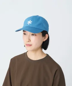 Звездочка (заглавная буква)