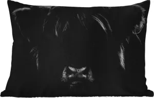 Подушка для улицы - Шотландская горная корова - Портрет - Животные - Черно-белая - 50 x 30 см - Водонепроницаемая - Подушка для отдыха - Подушка для дивана - Украшение для гостиной MuchoWow