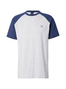 Футболка Iriedaily De College, Light grey