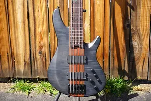 Электрический бас-гитар Schecter DIAMOND SERIES Charles Berthoud CB-5 See Thru Black Satin 5-струнный (2025)