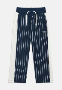 Спортивные штаны Emporio Armani, Blue