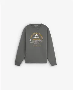 Детская толстовка без капюшона с принтом спереди Scalpers, темно-серый