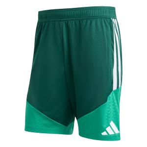 Обычные спортивные штаны ADIDAS PERFORMANCE Algerien 26, зеленый/темно-зеленый