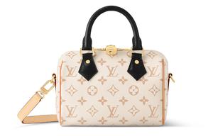 LOUIS VUITTON Сумка Speedy Bandoulière 20