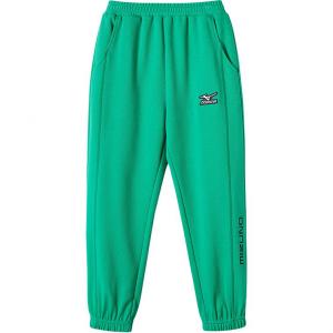 Детские спортивные штаны Mizuno, зеленый