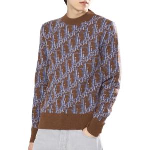 Dior Мужской свитер, коричневый, с круглым вырезом, средней жесткости