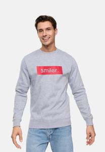 Толстовка smiler. pullover dude., серый