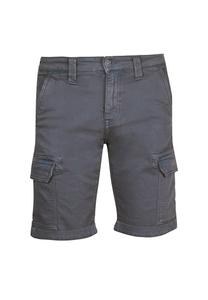 Шорты Le Temps Des Cerises DAMON, серый