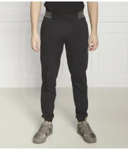 Спортивные штаны regular fit Ea7, черный