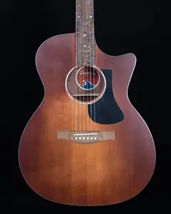 Eastman PCH1-GACE-CLA, классическая с чехлом