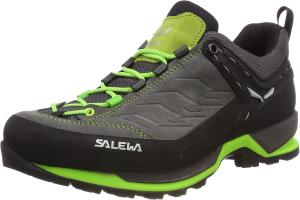 Мужские походные ботинки Salewa с низким подъемом, Ombre Blue Tender Shot
