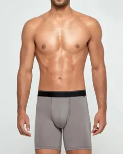 Мужские длинные трикотажные шорты-боксеры из лиоцелла Impetus, серый