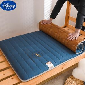 Disney Коврик-матрас для сна 90х200 см, толщина 5 см, двухсторонний охлаждающий, цвет Ice Vine - Wave Blue