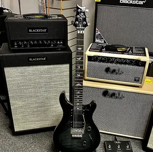 PRS SE Custom 24 «Флойд»