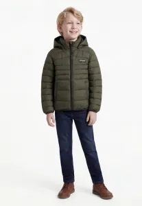 Зимняя куртка nmmmarble Name It, Dark Green
