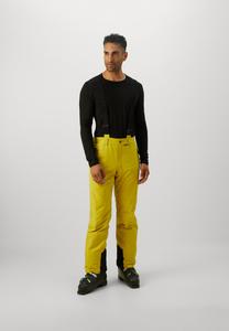 Лыжные брюки Icepeak FREIBERG, Olive