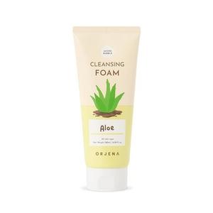 Orjena Smile Day Aloe Cleansing Foam For Face Korean Skincare Deep Perfect Cleansing