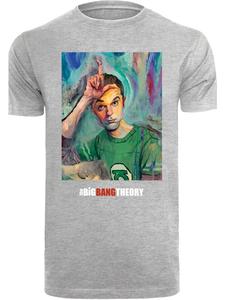 Футболка F4NT4STIC Big Bang Theory TV Serie Sheldon Loser Painting, пестрый серый