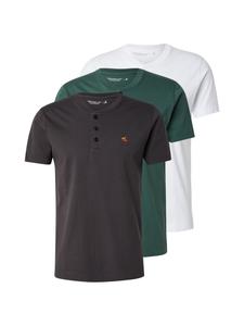 Abercrombie & Fitch Футболка в зеленом и белом цветах