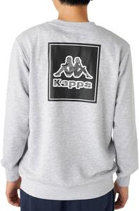 Мужская толстовка Kappa 245360, принт на спине, художественный дизайн, серый