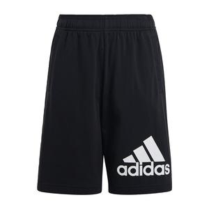 Обычные брюки ADIDAS SPORTSWEAR Essentials Big Logo, черный