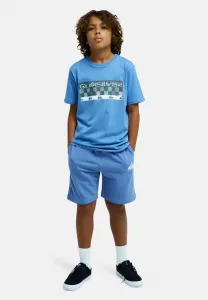 Easydajogshorty bga спортивные шорты Quiksilver, Blc