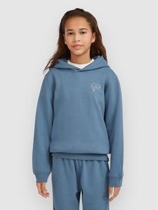 Толстовка O'Neill Essentials Kids Hoodie, mozart blue