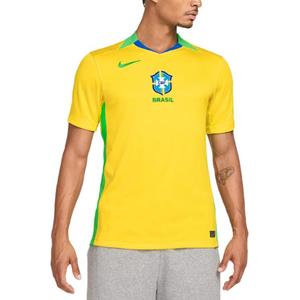 Бразильская домашняя футболка стадиона 2025 для женщин команды мужская dri fit реплика джерси Nike, желтый