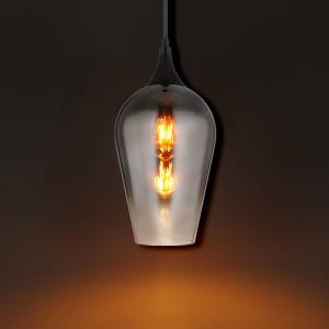 Подвесной светильник Globo Lighting Lavus Typ D, цветное стекло / железо - 1 лампа - серебро