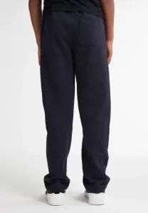 Спортивные штаны joggers bridger Petrol Industries, Royal Navy