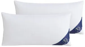 Перьевая подушка Spessarttraum, 40х80 см