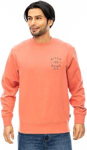 Мужская толстовка Billabong с логотипом на спине BE012001