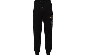 Трикотажные спортивные штаны мужские черные Evisu, черный