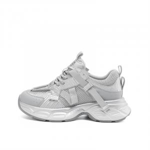 DAPHNE Серебряные женские кроссовки Low top Chunky, цвет Silver