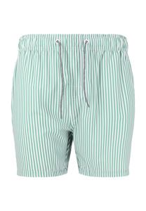 Купальные шорты Kenny с классическим полосатым узором CRUZ, цвет Print