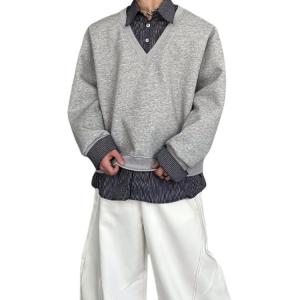 Свитшот Unisex Lapel Moderate Regular VanCamel, светло-серый